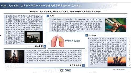 国产31页,揭秘中国电影产业的新篇章 第3张 国产31页,揭秘中国电影产业的新篇章 第3张